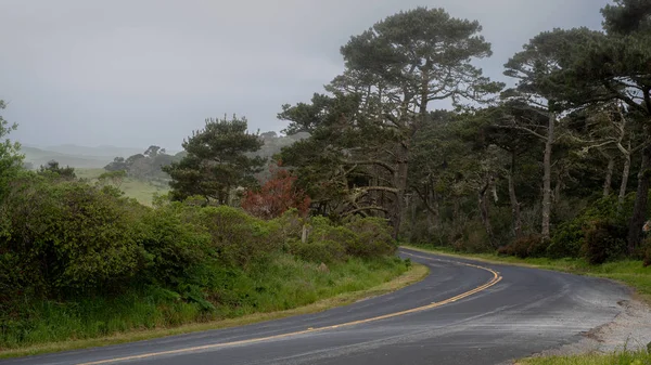 Pierce Point Road en la costa nacional de Point Reyes — Foto de Stock