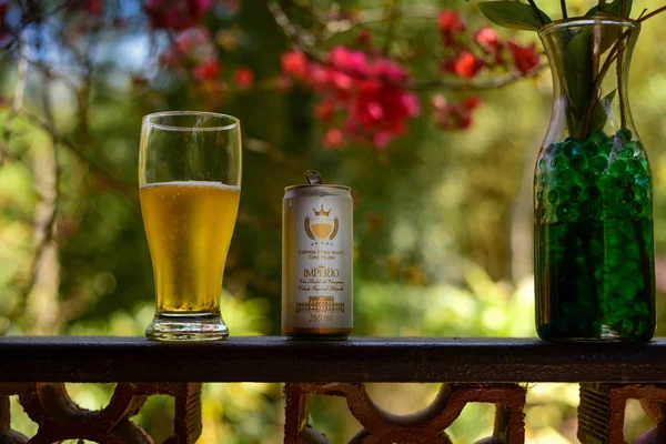Imperio beer in can in tropical setting