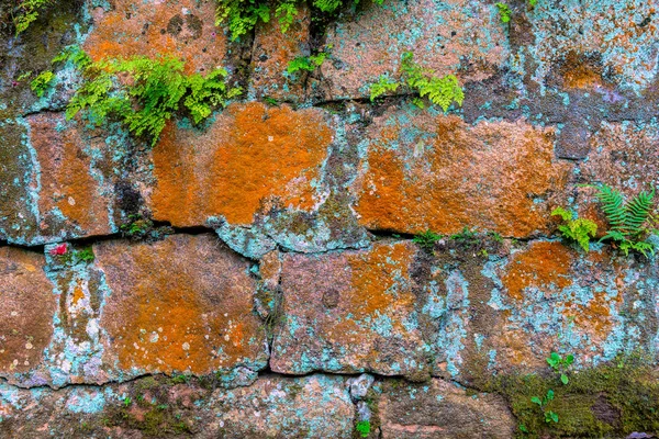 Textura da parede de tijolo ou fundo — Fotografia de Stock