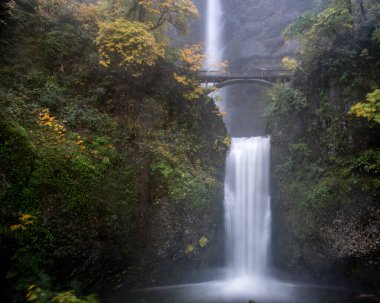 Multnomah şelaleleri, Oregon, ABD, sonbaharda, sarı renkler ve sisin içindeki kozalaklı ağaçlar