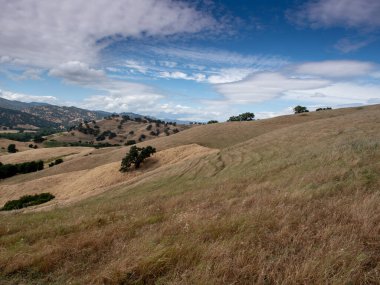 Vacaville, Kaliforniya, ABD 'deki Lagoon Vadisi Parkı' nın panoramik manzarasında, yaz aylarında kahverengi çim ve meşe ağaçları ile şaparal yer alıyor.