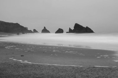 Kaliforniya, Sonoma Sahili, Keçi Kayası Eyalet Parkı 'ndan Pasifik Sahili' nin panoramik manzarası sisli ve kasvetli bir günde