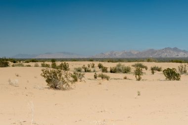 Çölün genel bakış açısıyla İmparatorluk Kum tepeleri bulutsuz bir ilkbahar gününde, mavi gökyüzü, Çikolata Dağları manzaralı