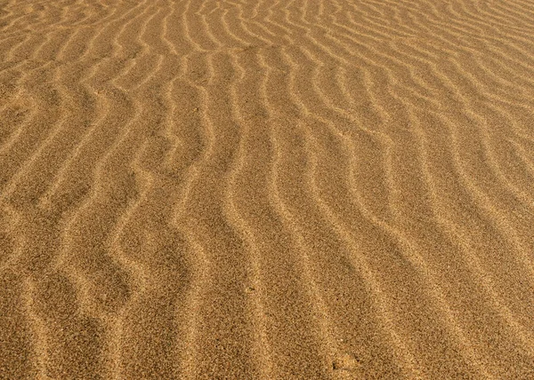 沙漠的地面反映了季节雨和风的历史 风沙四处飘扬 形成了美丽的抽象图案 如这些沙纹 — 图库照片