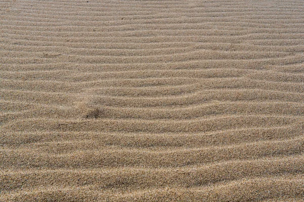 Chão Deserto Reflete Uma História Chuvas Sazonais Vento Movendo Areia — Fotografia de Stock