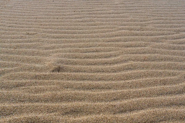 沙漠的地面反映了季节性降雨和风沙的历史 形成了美丽的抽象模式 — 图库照片