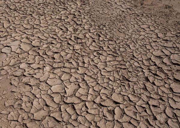 Após Chuva Lama Deserto Transforma Terra Rachada Que Fazem Belos — Fotografia de Stock