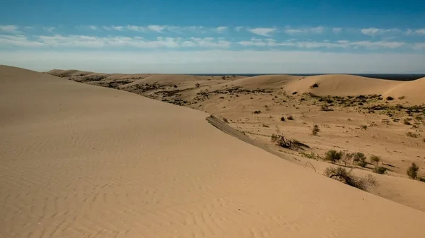 Overzicht Van Woestijn Imperial Sand Duinen Een Wolkeloze Lentedag Met — Stockfoto