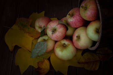 Ballı gevrek elmalara yakın çekim Kuzey Kaliforniya, Apple Hills 'den, ahşap bir kovanın içinde, ahşap masa üzerinde sarı pamuk yapraklarıyla kaplı kahverengi arka planda ve yukarıdan bakıldığında