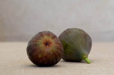 İki kahverengi hindi inciri yan yana bronzlaşmış arka planda yüksek açı görüntüsünde bolca fotokopi alanı var.