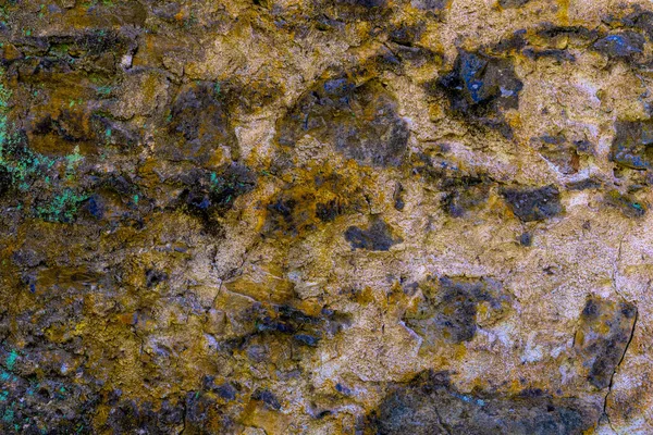 Närbild Färgglada Rock Bakgrund Eller Bakgrund Med Mossa Färgerna Gyllene — Stockfoto