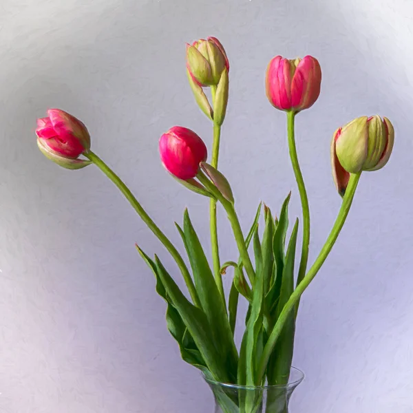 Bouquet of pink tulip buds and green leaves, in a glass vase, viewed from the side, only top of container shown, high key and white vignette, with leaves- composition celebrating the spring
