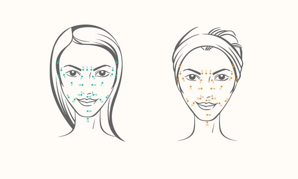 Retrato Vectorial Mujer Joven Con Líneas Masaje Crema Aplicar Líneas — Vector de stock