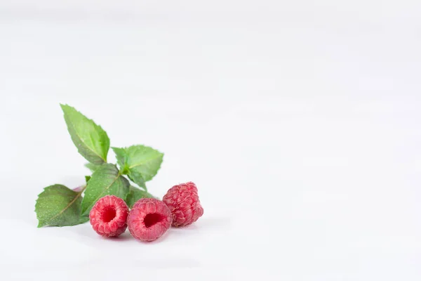 Beyaz bir arka plan üzerinde taze olgun ahududu. Yakın çekim, minimal moda gıda kavramı