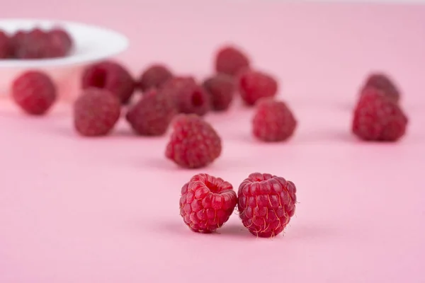 Taze olgun ahududu bir pembe arka plan dağınık. Yakın çekim, minimal şık gıda kavramı