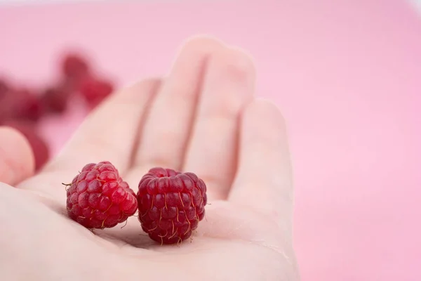 Bir yandan pembe bir arka plan üzerinde taze olgun ahududu. Yakın çekim, minimal şık gıda kavramı