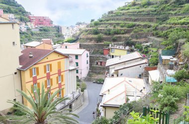 geleneksel Manarola köy Cinque Terre İtalya - İtalya beş ünlü renkli köyleri