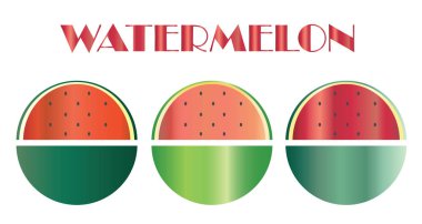 karpuz meyve illüstrasyon - taze yaz meyve - vektör set