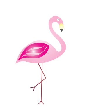 Beyaz arka plan üzerinde pembe flamingo vektör çizim