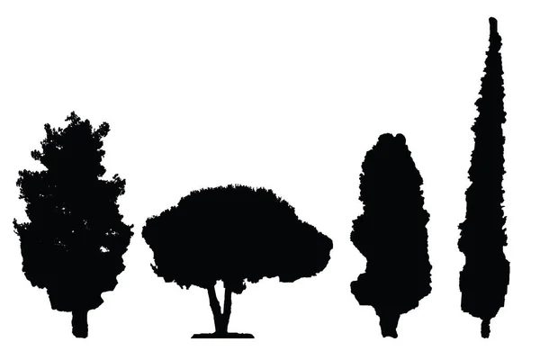 Čtyři Černé Siluety Stromů Vektorové Set Bílé Pozadí — Stockový vektor