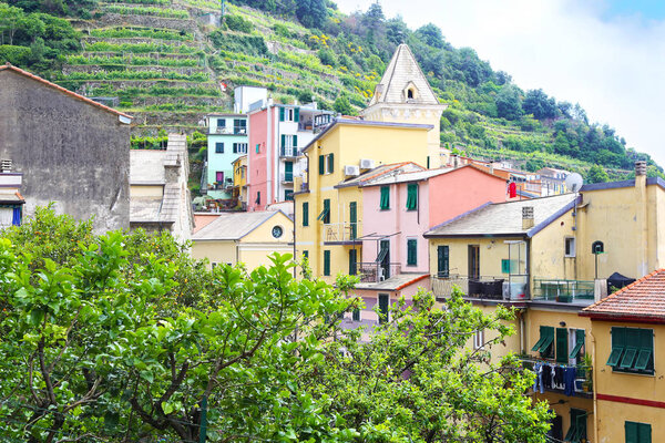 Traditional colorful houses at Manarola village Cinque Terre - La Spezia Italy