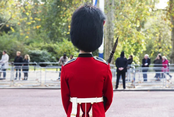 London Wielka Brytania Października 2018 Strażnicy Pałacu Buckingham Podczas Tradycyjnych — Zdjęcie stockowe