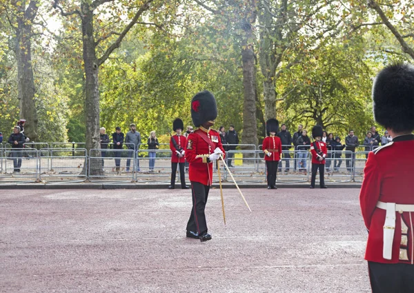 Londra Regno Unito Ottobre 2018 Guardie Del Buckingham Palace Durante — Foto Stock