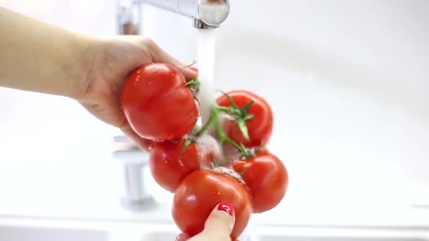 Kvinna Händer Tvätta Färska Röda Tomater Rinnande Vatten Diskhon — Stockvideo