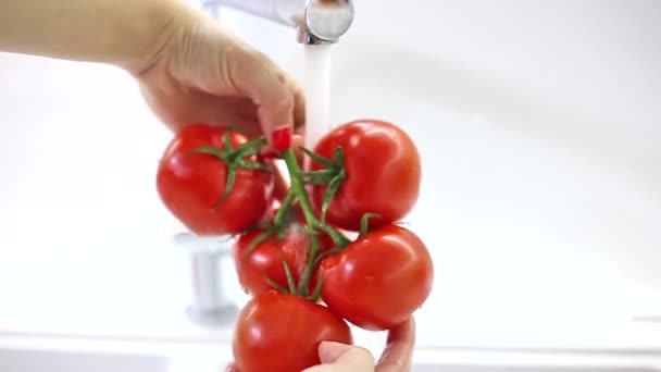 Mujer Manos Lavando Tomates Rojos Frescos Bajo Agua Corriente Fregadero — Vídeo de stock