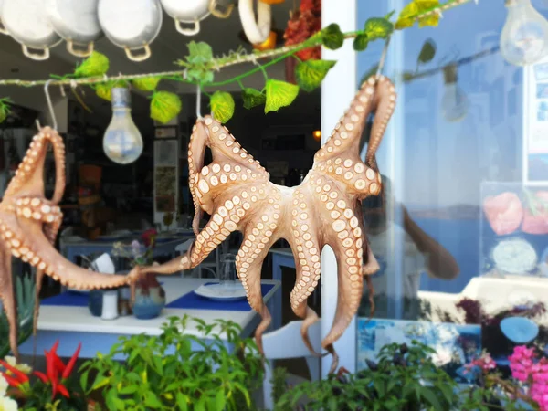 Verse Rauwe Octopus Drogen Een Griekse Taverne Traditionele Griekse Mediterrane — Stockfoto