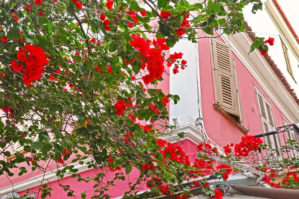 Edifícios Coloridos Tradicionais Flores Bougainvillea Vermelhas Cidade Nafplio Argolis Grécia — Fotografia de Stock