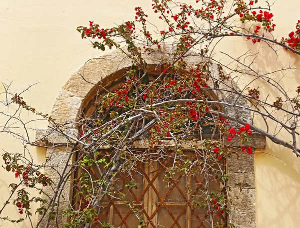 Tradicional Ventana Vieja Con Flores Buganvillas Ciudad Nafplio Argolis Grecia — Foto de Stock