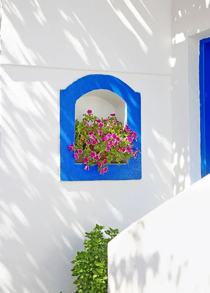 青い詳細と白い壁に咲く花クフォニシア諸島キクラデスギリシャ — ストック写真