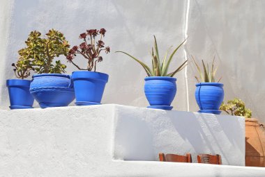 Ano Koufonisi adasının beyaz duvarında mavi saksılar Yunanistan 'da