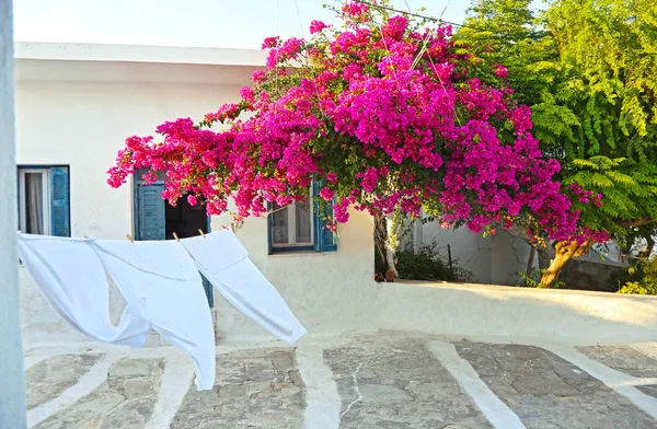 Традиційний Двір Квітучими Рожевими Буґенвіллеями Островах Куфонізія Циклади Греції Вітер — стокове фото