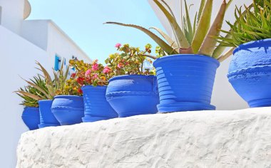 Ano Koufonisi adasında mavi saksılar Yunanistan 'da