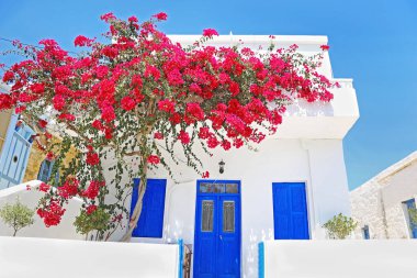 traditional house with blooming bougainvillea flower at Ano Koufonisi island Greece clipart