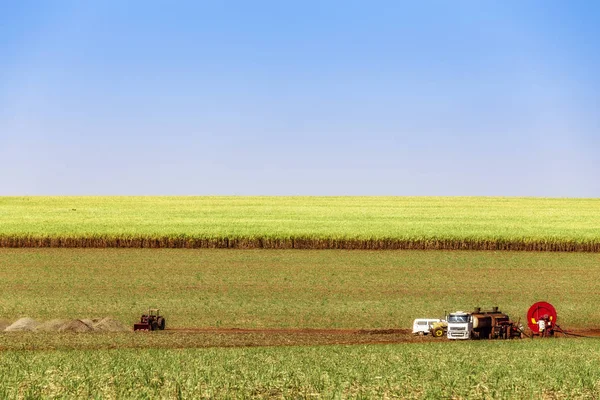 Suikerriet Plantages Brazilië Platteland — Stockfoto