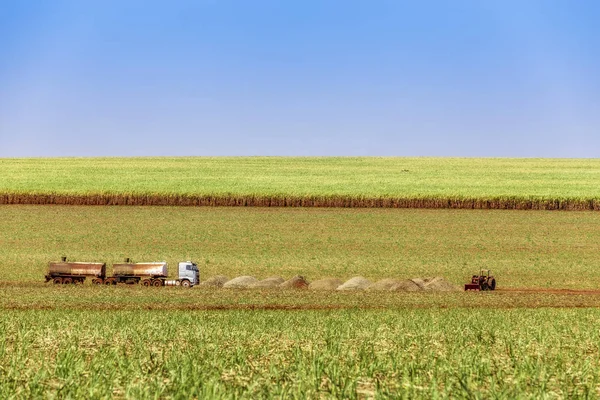 Plantación Caña Azúcar Campo Brasil — Foto de Stock