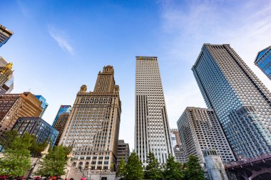 Chicago, Illinois/Amerika Birleşik Devletleri - 01 Eylül 2018: Güneşli bir günde Chicago binalarının görünümü.