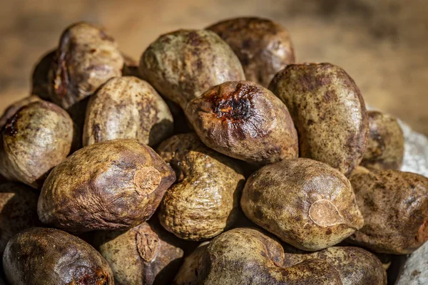 Kaju - kabuk çiğ fındık dolu kase — Stok fotoğraf