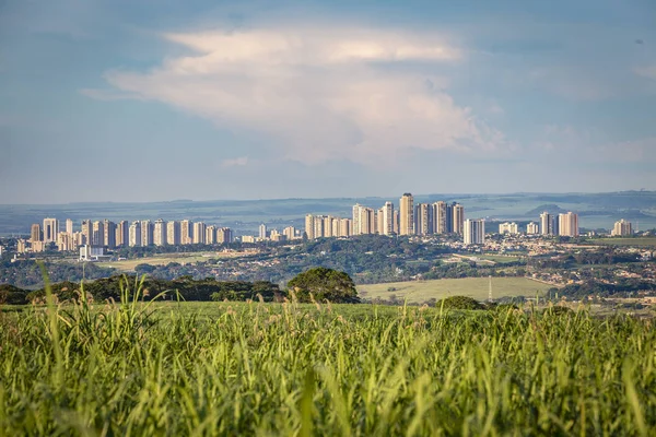 Campi di canna da zucchero con Ribeirao Preto città sullo sfondo al tramonto — Foto Stock