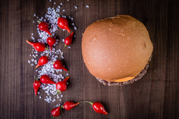 Double craft beef burger 