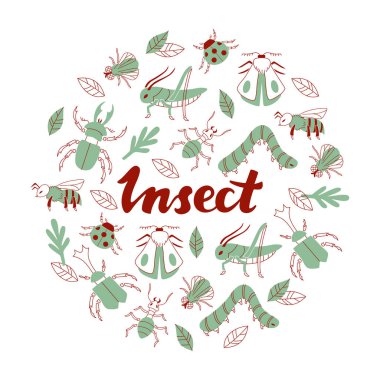 Beyaz arka plan üzerinde izole elle çizilmiş böcek kümesi. Vektör halat.