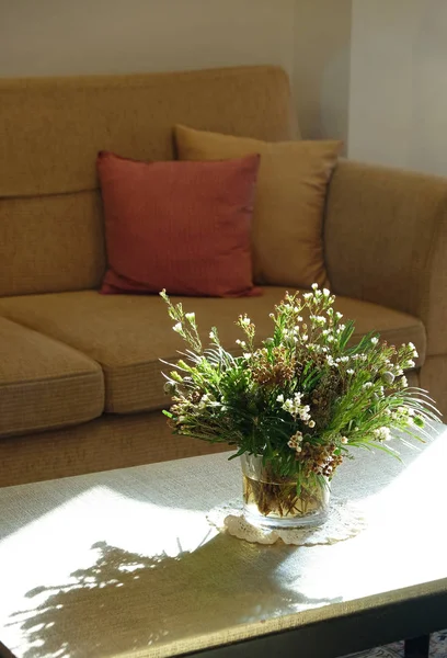 Light and shadow in living room