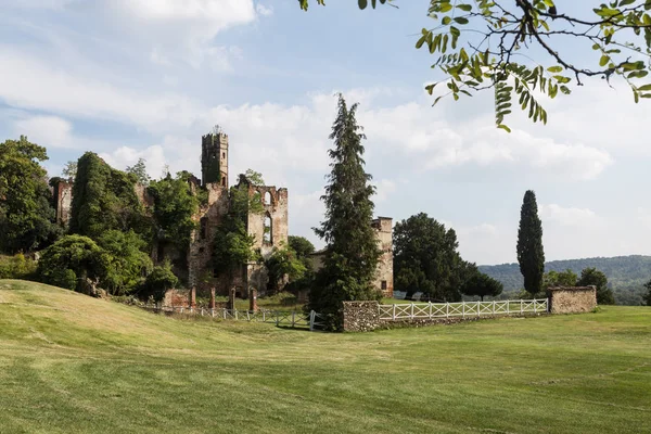 Haunted castle and green grass on hill meadow