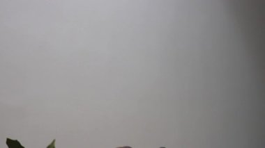Kış dekorasyonları ve hediye hediye kutuları yay, alışveriş sepeti Tel haddeleme ile masada, video