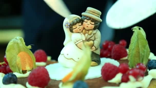 カップルの装飾 ビデオで人切断ウェディング ケーキ — ストック動画