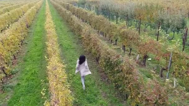Vue Aérienne Vidéo Ralenti Course Brune Femme Dans Plantation Vignes — Video