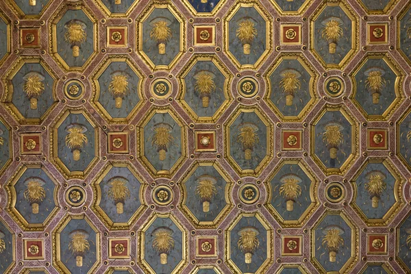 Plafond Palais Ducal Ont Été Exécutés Par Célèbre Peintre Andrea — Photo